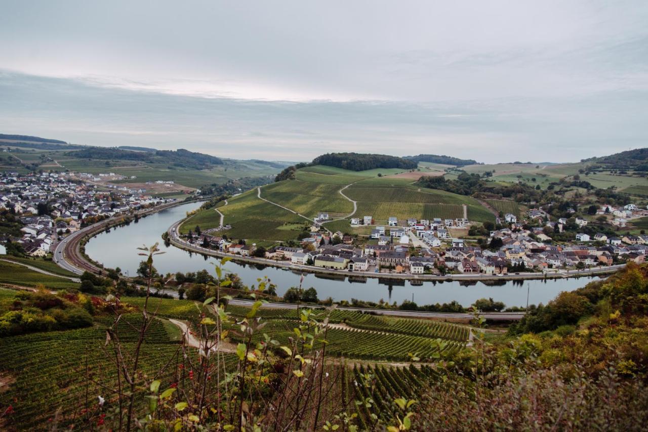Weingut Und Gaestehaus Zilliken Nittel Exterior photo